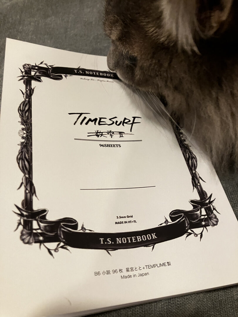 TIMESURF｜星宮とと